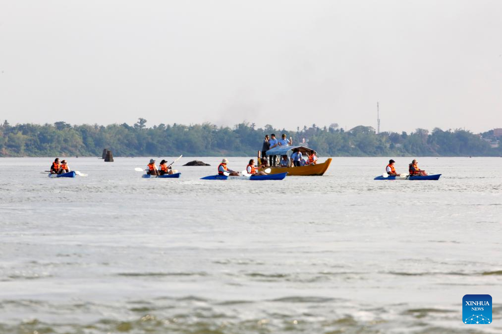 Mekong Irrawaddy dolphins swim in Mekong River in Cambodia