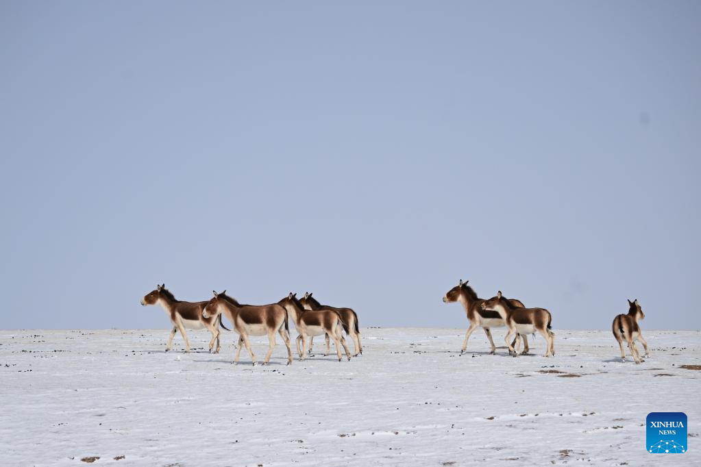 Snow scenery of Tibetan Autonomous Prefecture of Golog, NW China's Qinghai