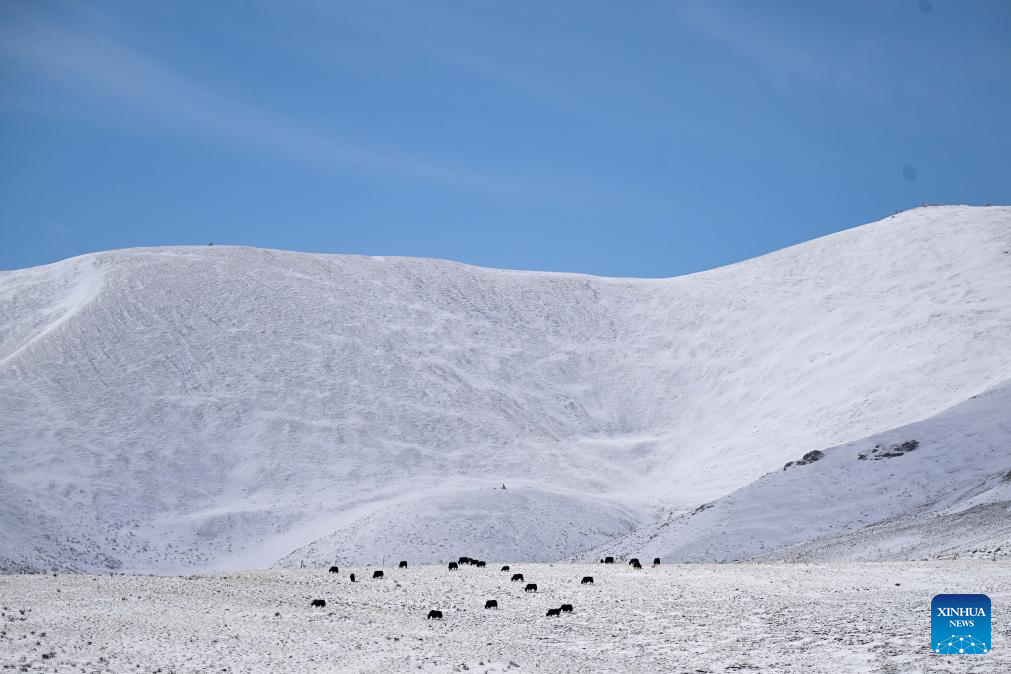 Snow scenery of Tibetan Autonomous Prefecture of Golog, NW China's Qinghai