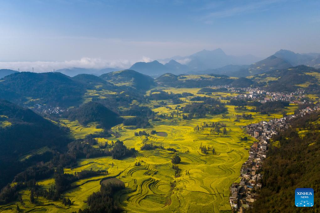 Scenery of cole flower fields in Luoping County, SW China