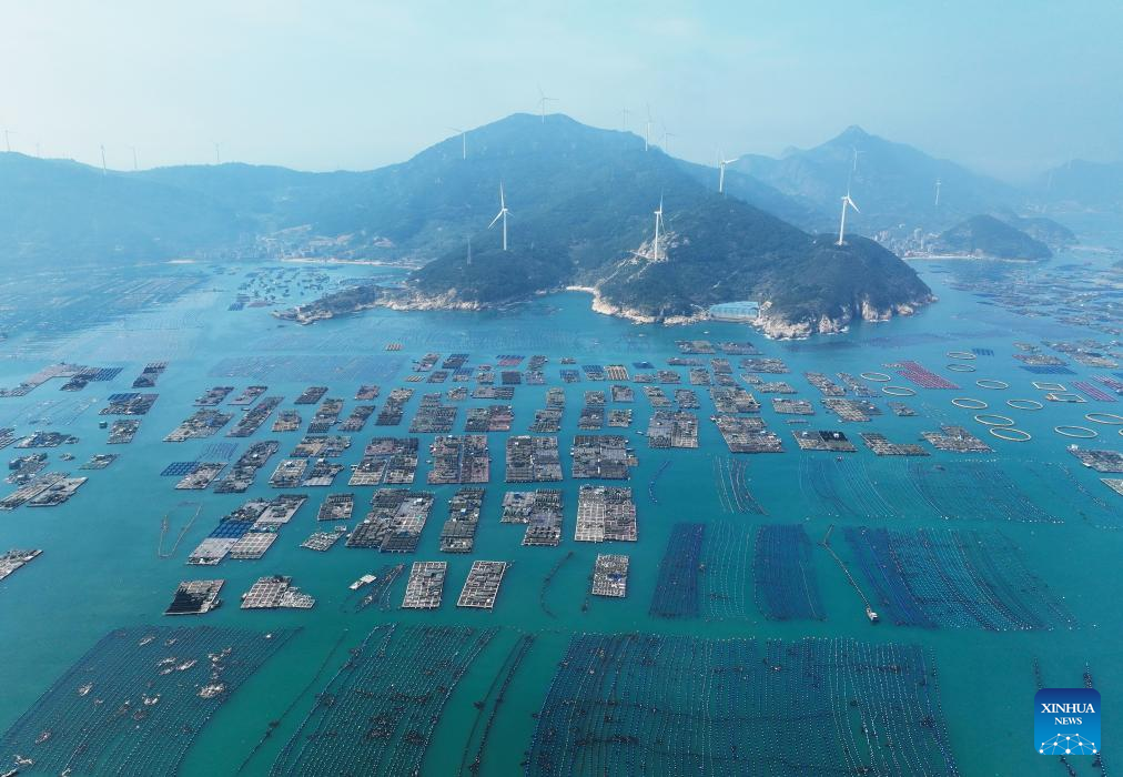 Abalone farming, sowing start in China's Fujian as weather warms up