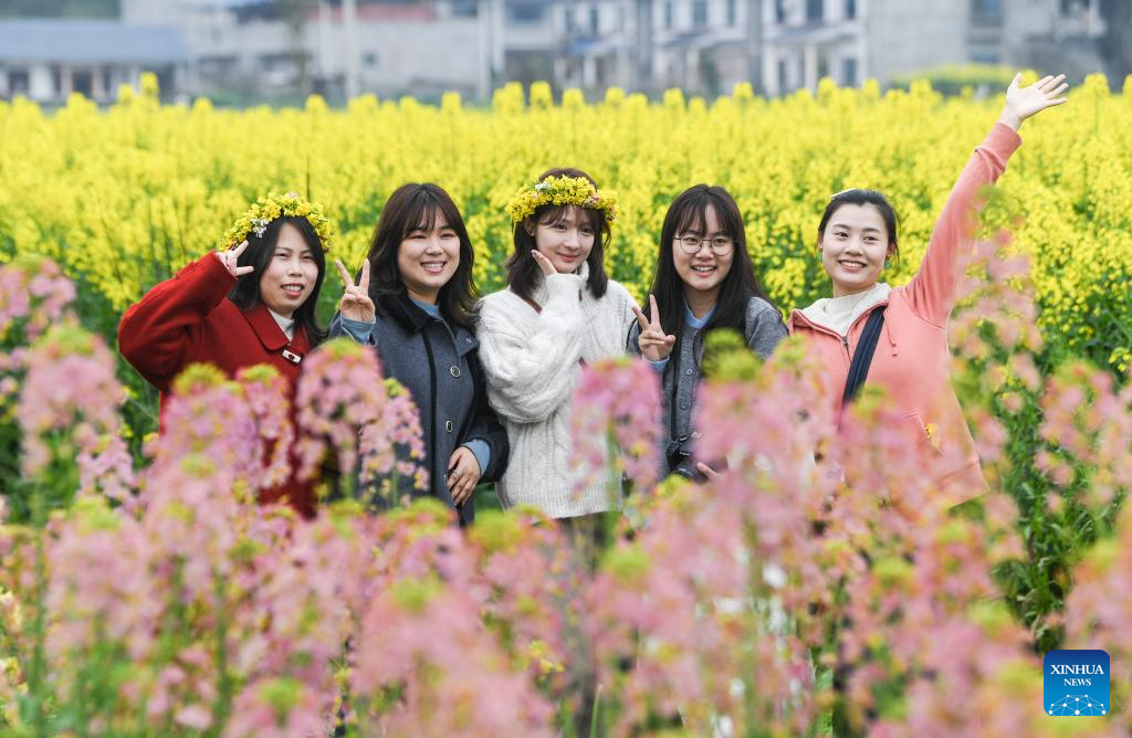 Tourists enjoy blooming rapeseed flowers at Chongkan scenic spot in Chongqing