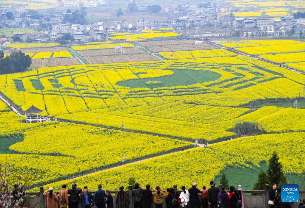 Tourists enjoy blooming rapeseed flowers at Chongkan scenic spot in Chongqing