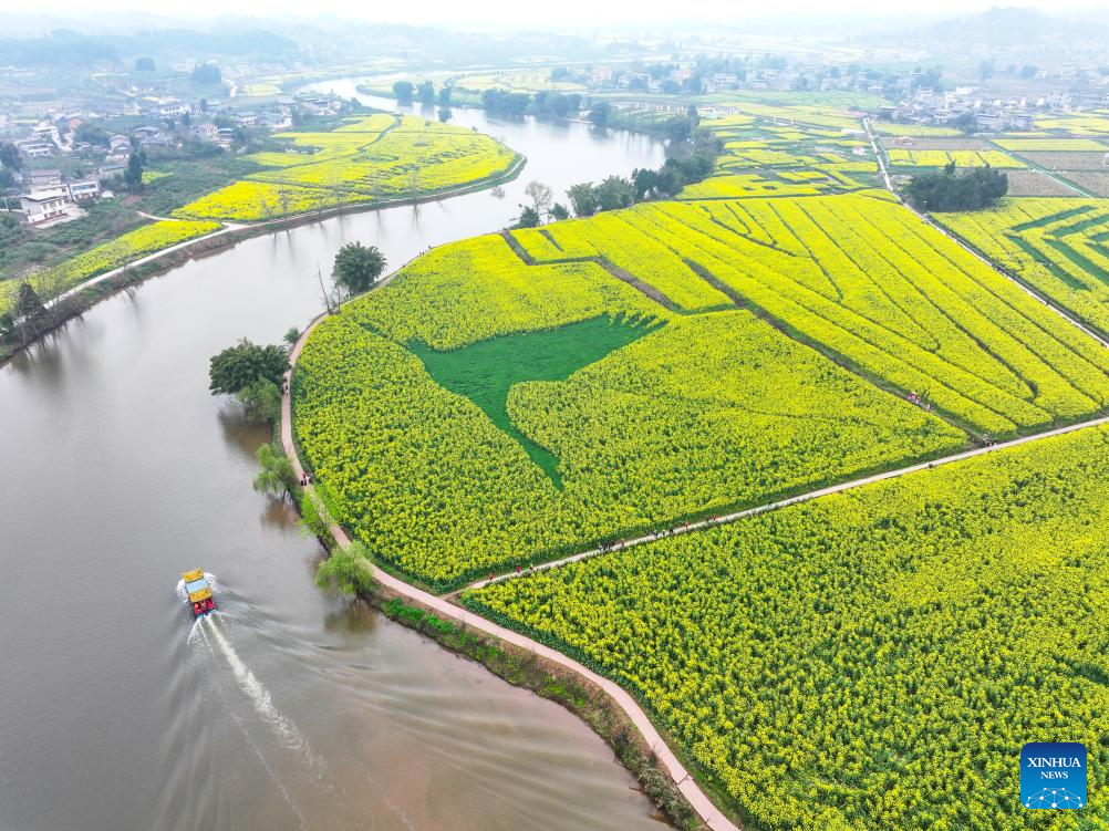 Tourists enjoy blooming rapeseed flowers at Chongkan scenic spot in Chongqing