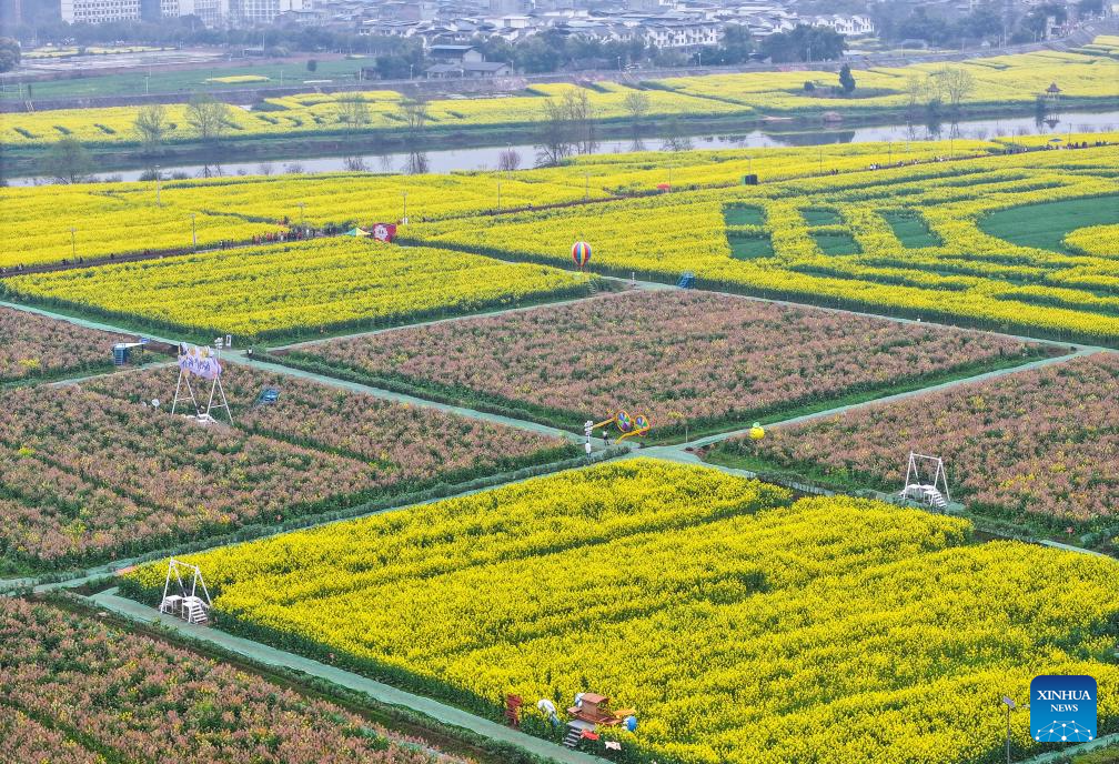 Tourists enjoy blooming rapeseed flowers at Chongkan scenic spot in Chongqing