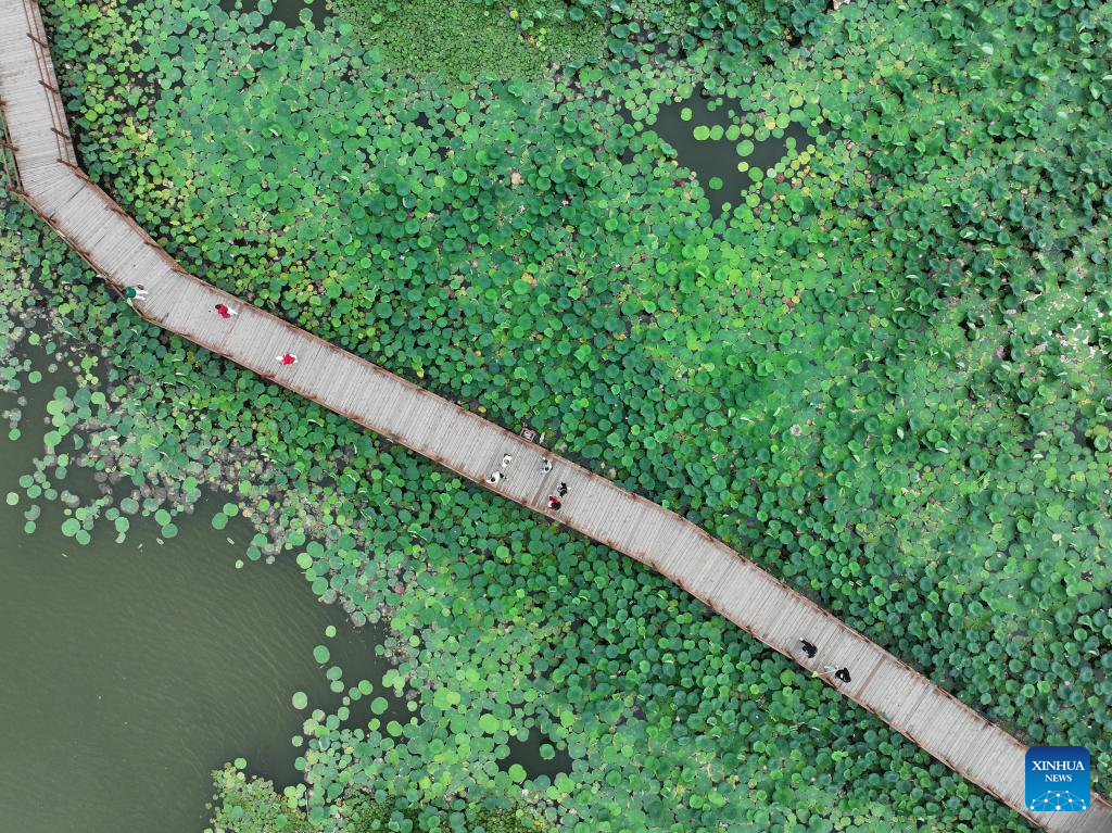 A glimpse of development of Xiong'an New Area in China's Hebei