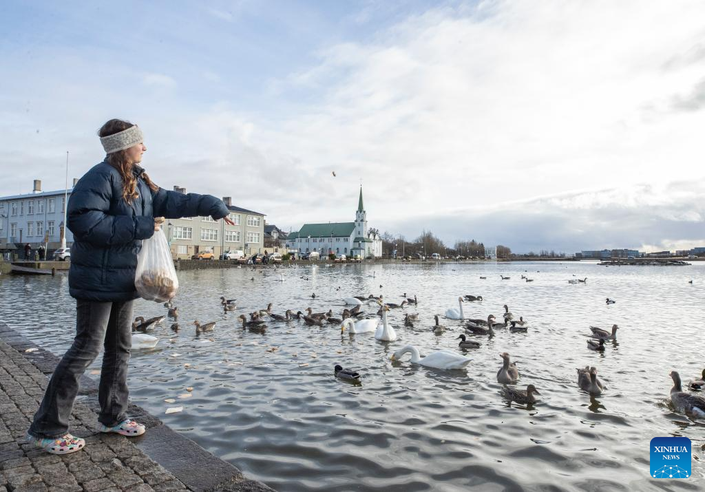 City view of Reykjavik, Iceland