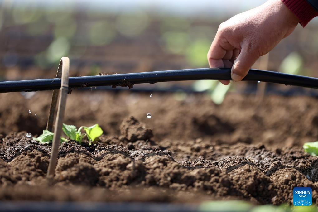 Modern technologies used during spring ploughing across China