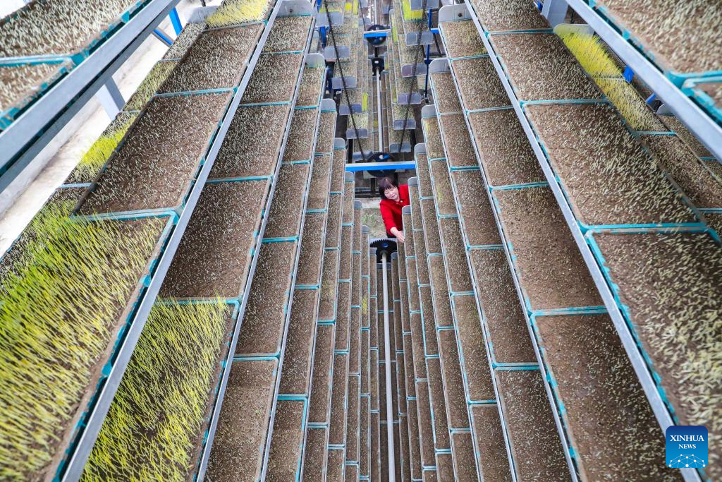 Modern technologies used during spring ploughing across China