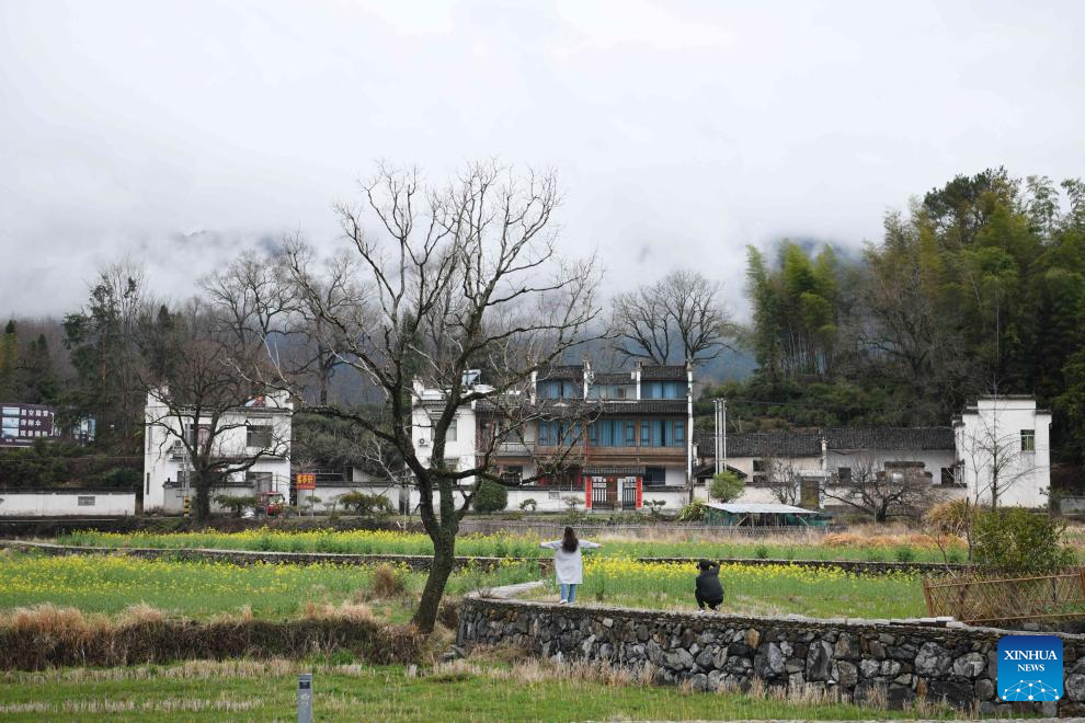 View of Hongcun Village in China's Anhui