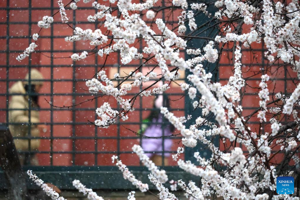 Beijing extends heating season amid cold wave, snowfall