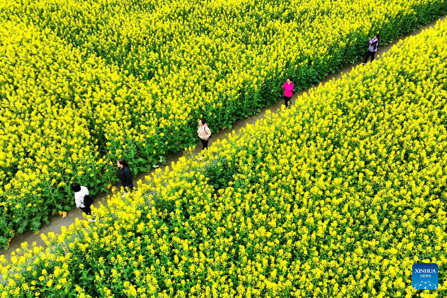 Flowers in blossom across China