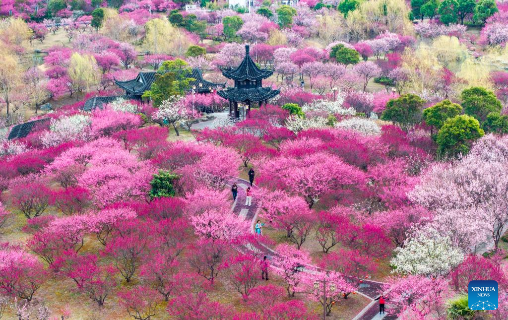 Flowers in blossom across China