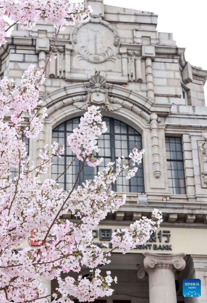 Flowers in blossom across China