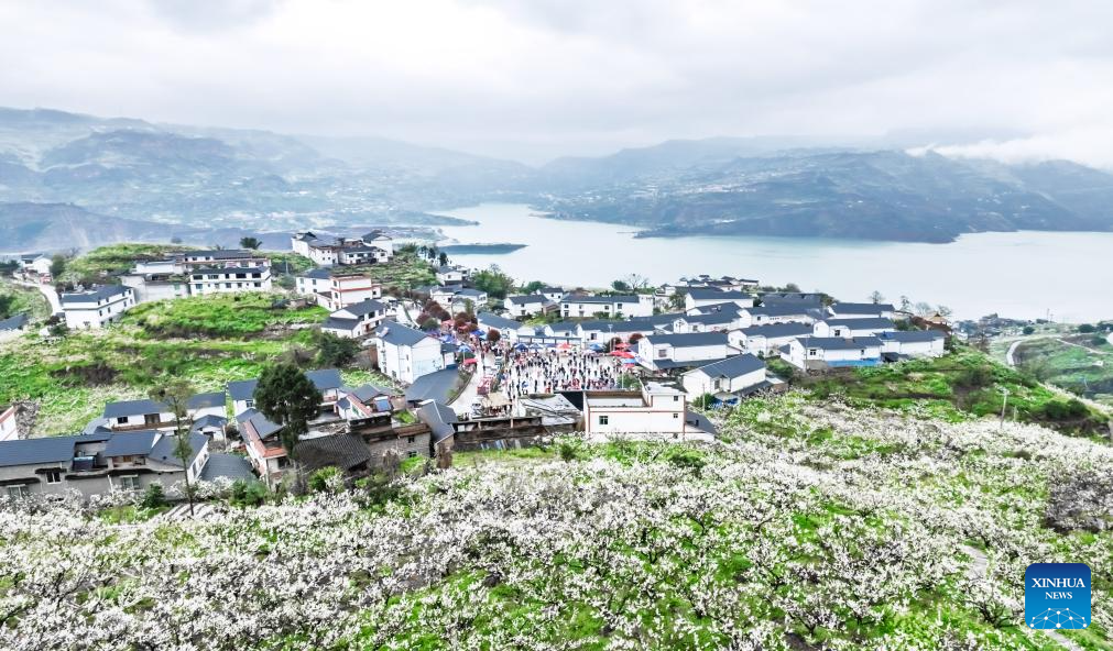 Flowers in blossom across China