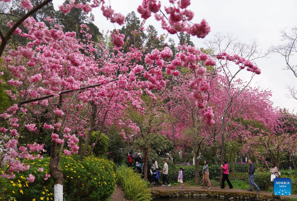 Flowers in blossom across China