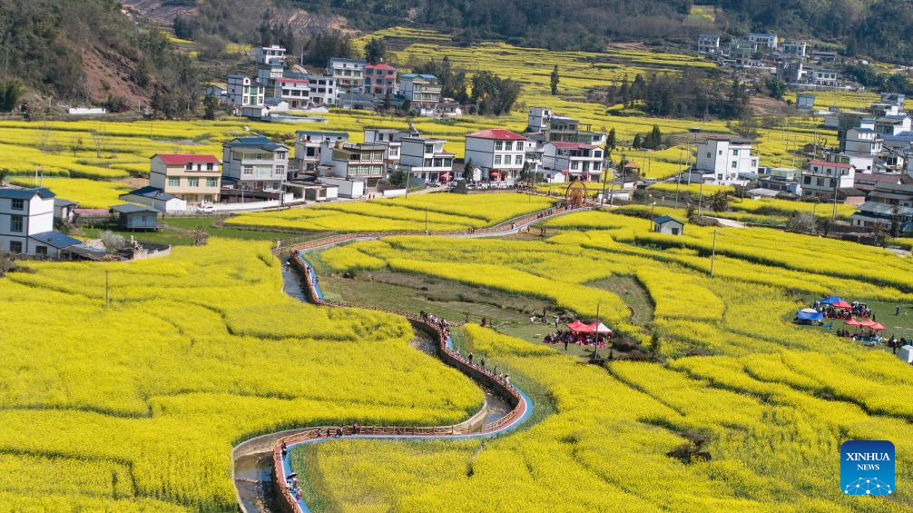 Flowers in blossom across China