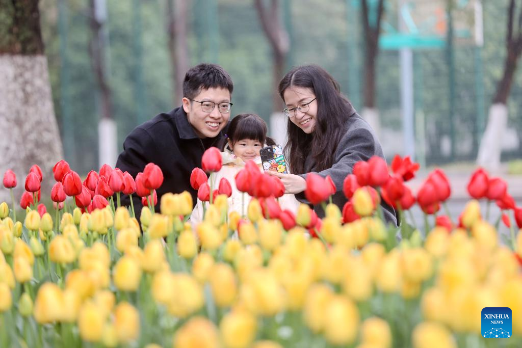 Flowers in blossom across China