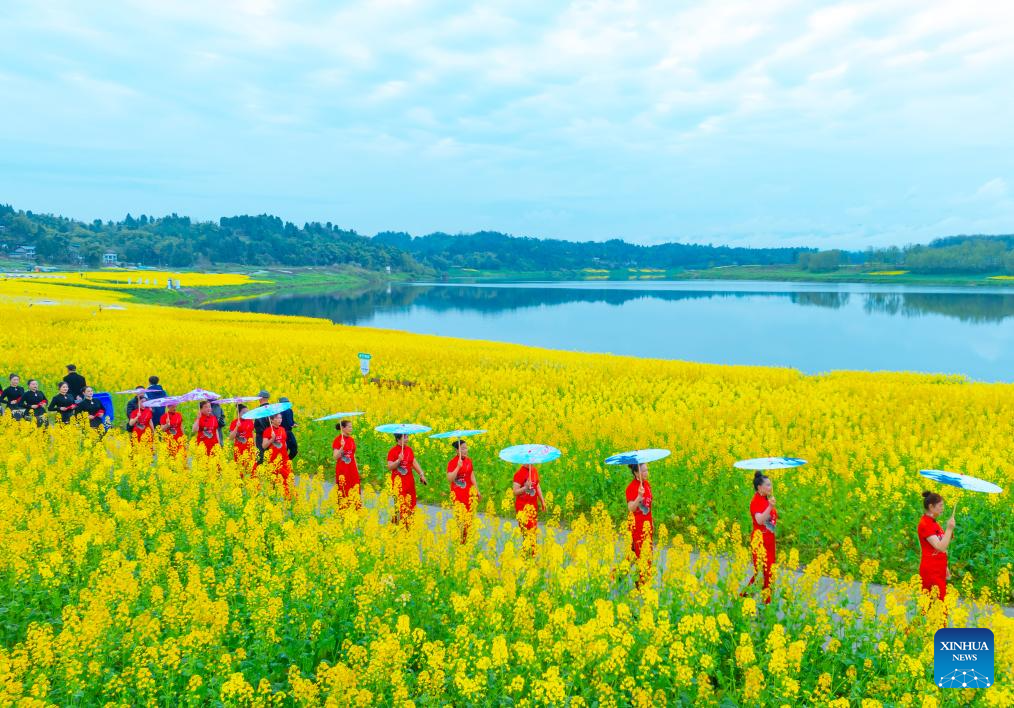 Flowers in blossom across China