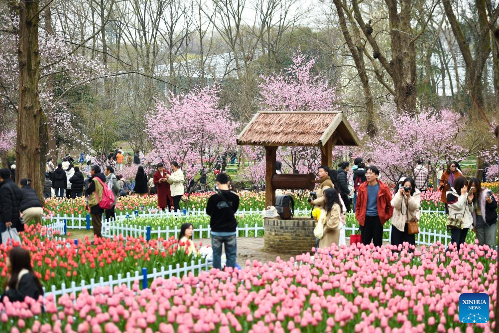 Flowers in blossom across China