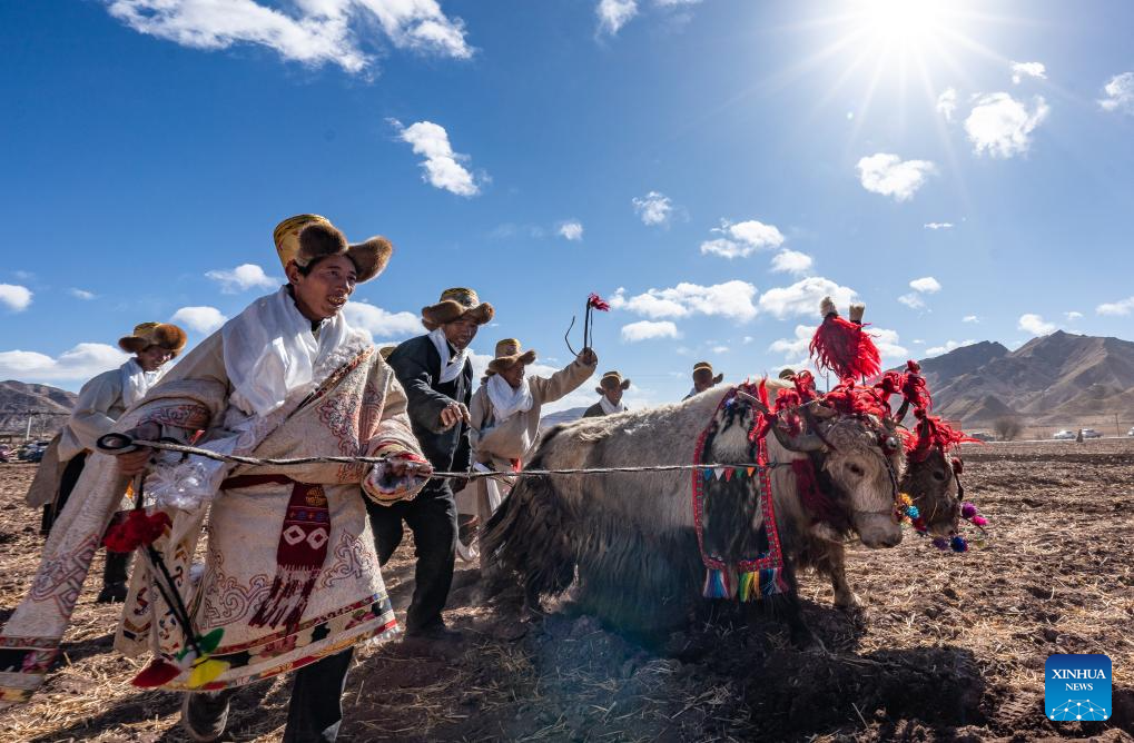 Farmers in SW China's Xizang welcome spring farming