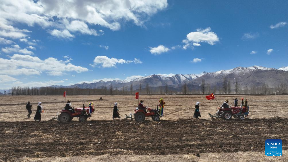 Farmers in SW China's Xizang welcome spring farming