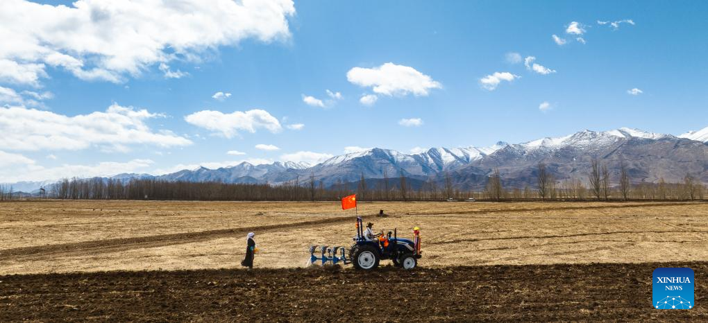 Farmers in SW China's Xizang welcome spring farming