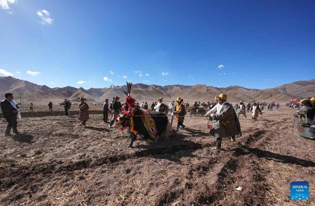 Farmers in SW China's Xizang welcome spring farming