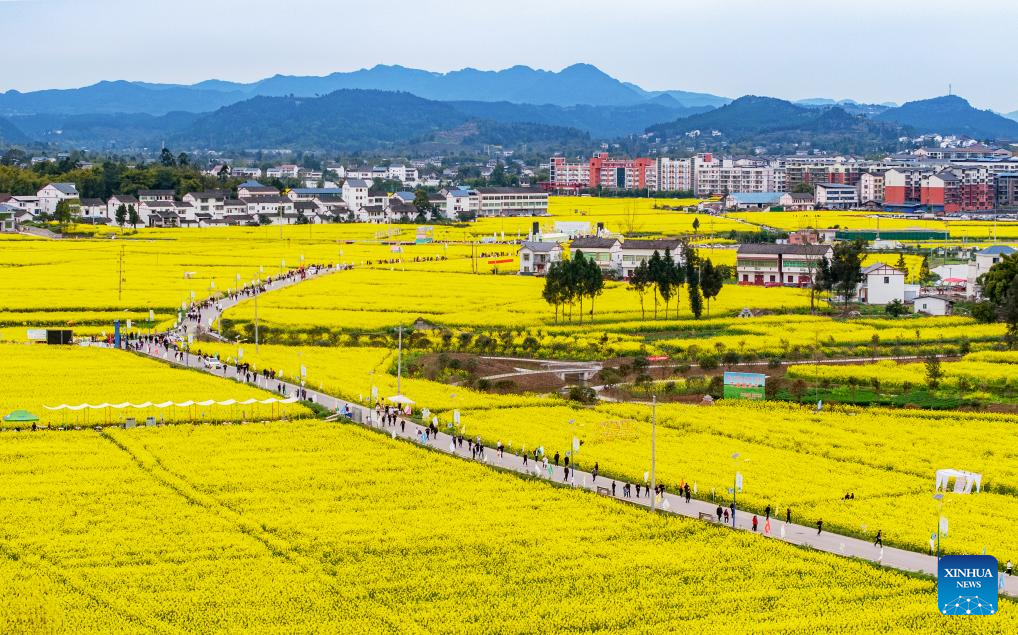 People enjoy spring blossoms across China