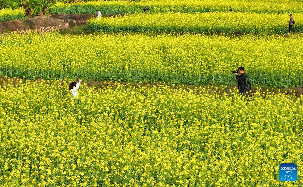 People enjoy spring blossoms across China