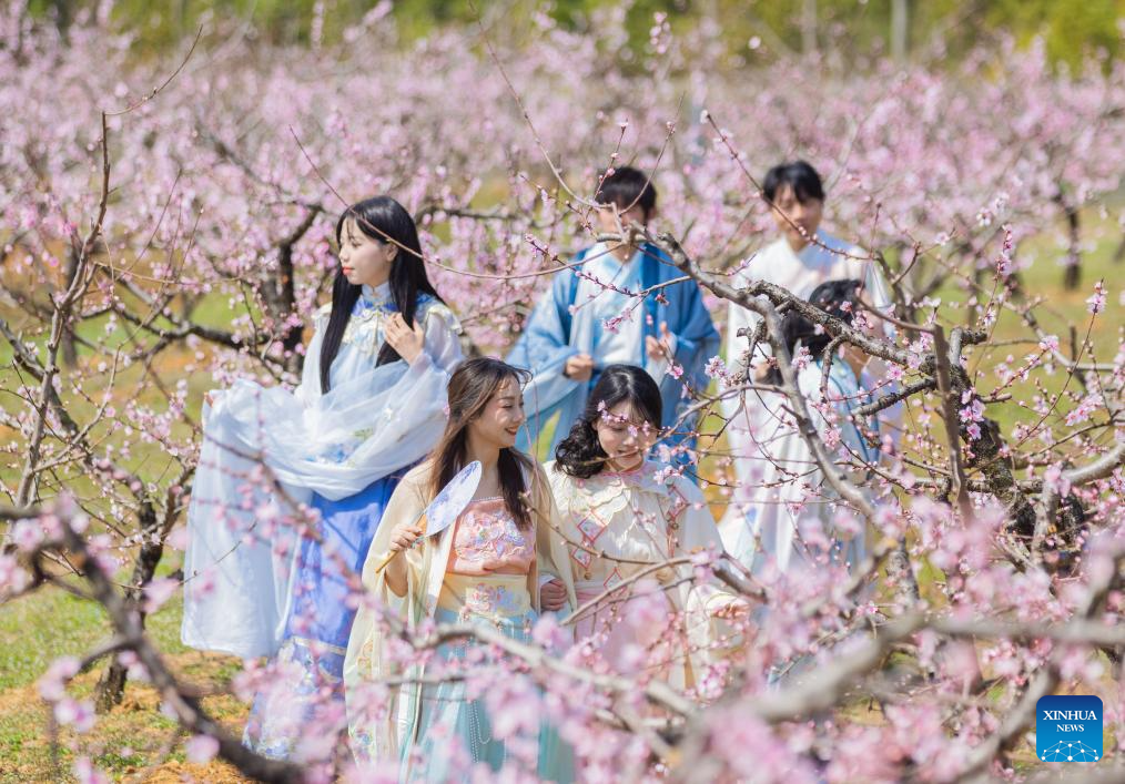 People enjoy scenery of blossoms across China