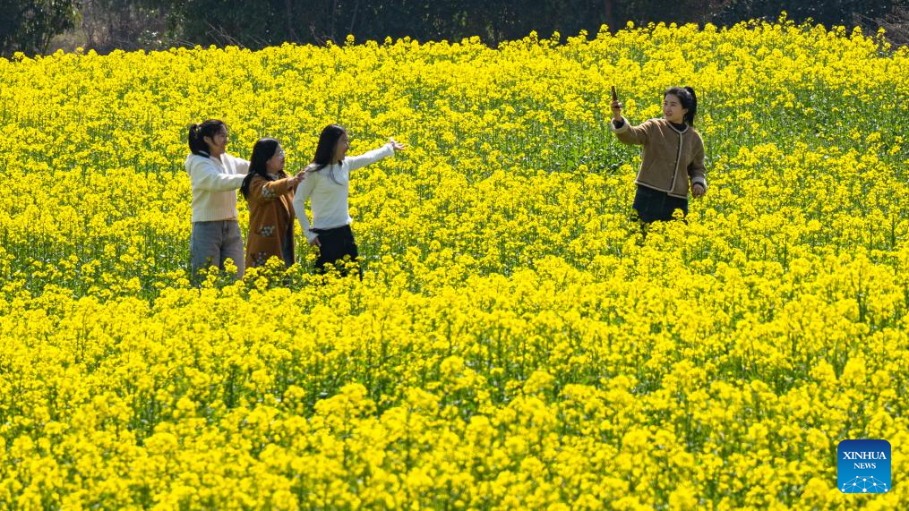 People enjoy scenery of blossoms across China