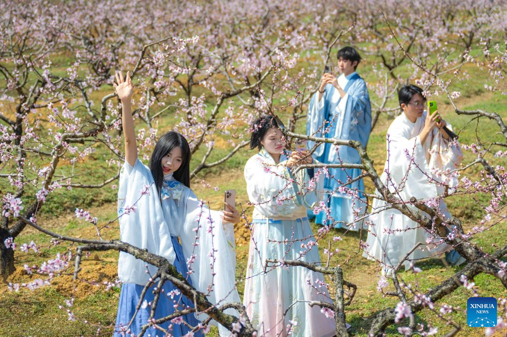 People enjoy scenery of blossoms across China