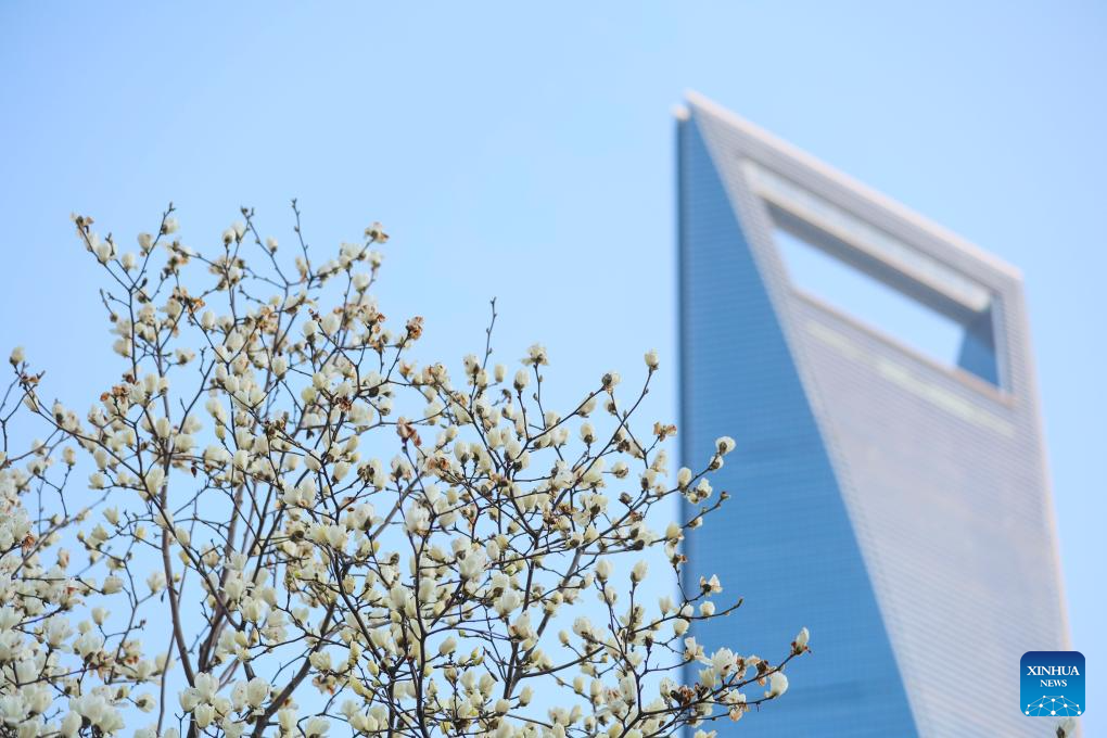 People enjoy scenery of blossoms across China