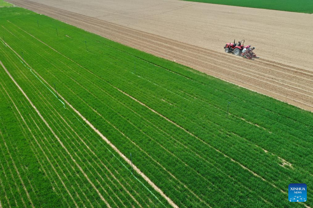 Farmers across China busy working at fields ahead of Chunfen