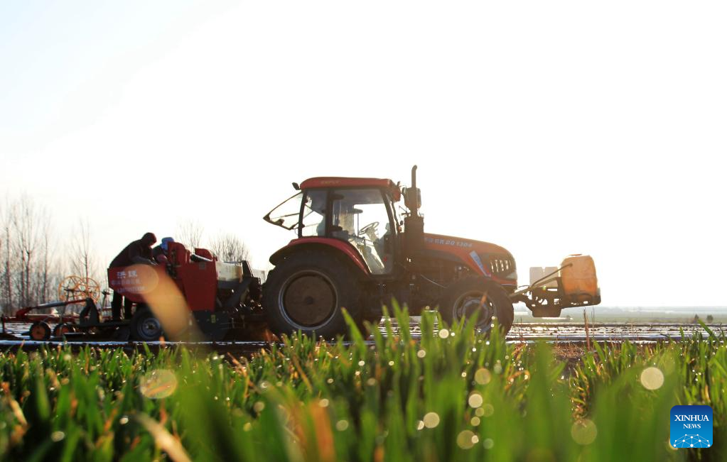 Farmers across China busy working at fields ahead of Chunfen