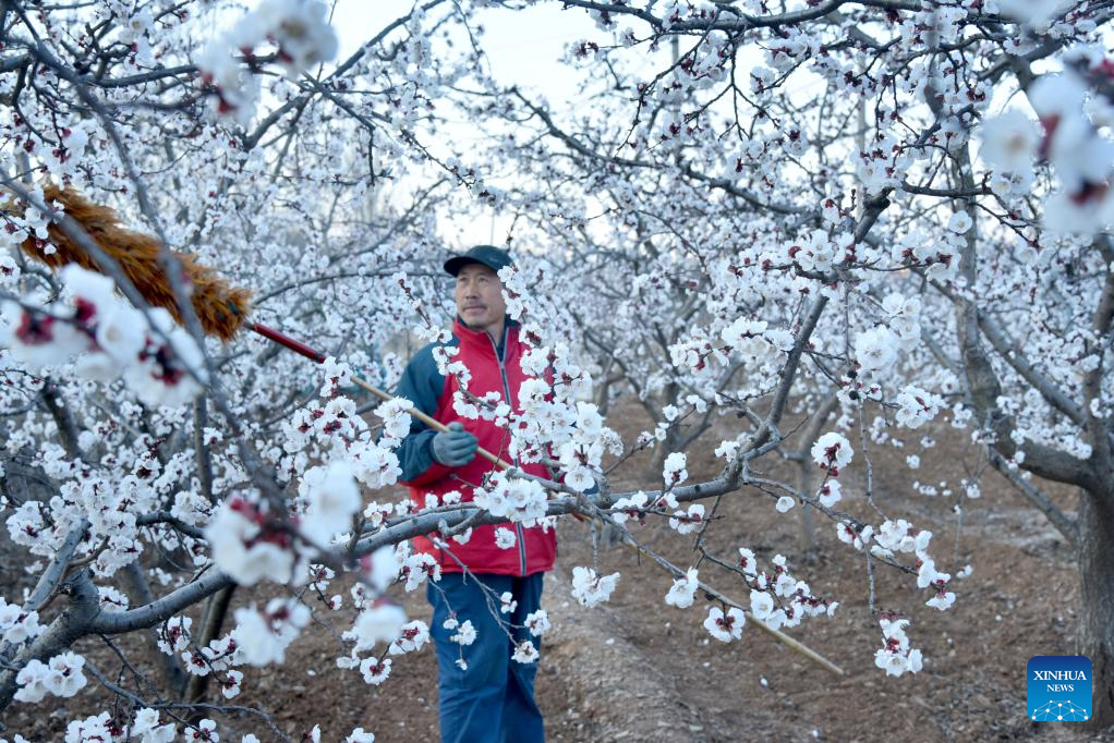 Farmers across China busy working at fields ahead of Chunfen