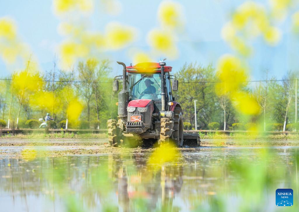 Farmers across China busy working at fields ahead of Chunfen