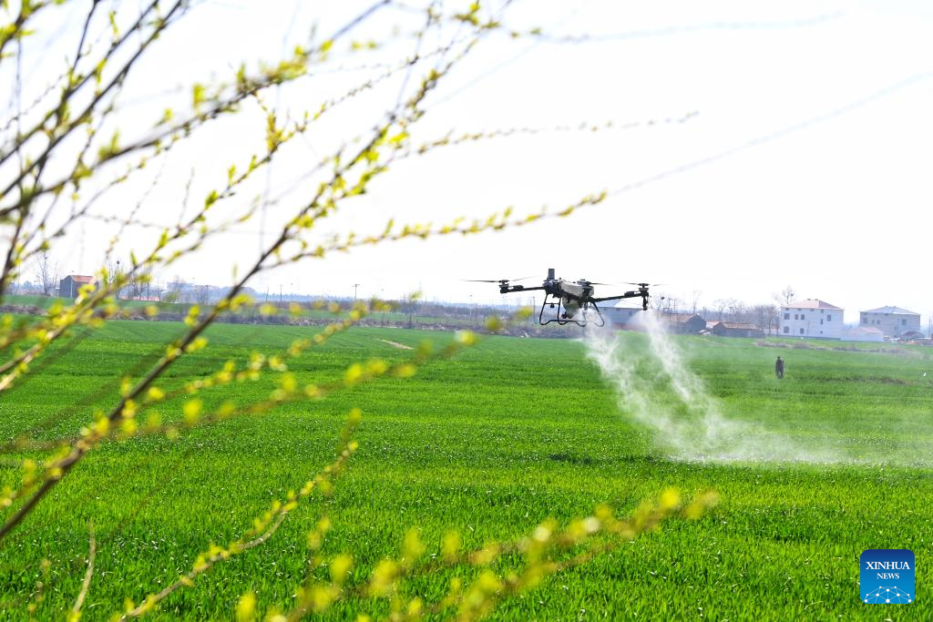 Farmers across China busy working at fields ahead of Chunfen