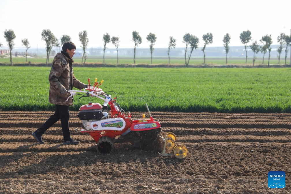 Farmers across China busy working at fields ahead of Chunfen