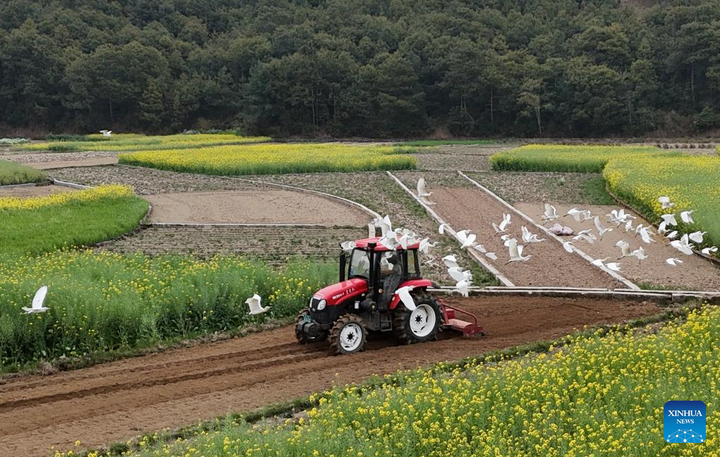 Farmers across China busy working at fields ahead of Chunfen