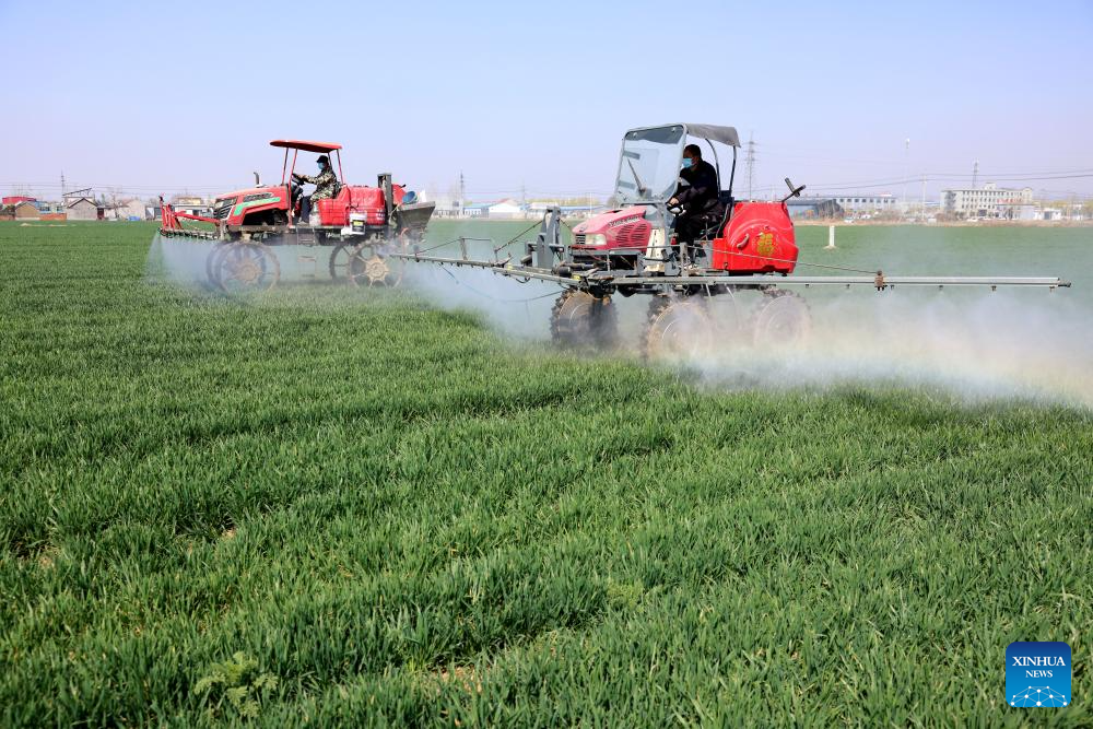 Farmers across China busy working at fields ahead of Chunfen