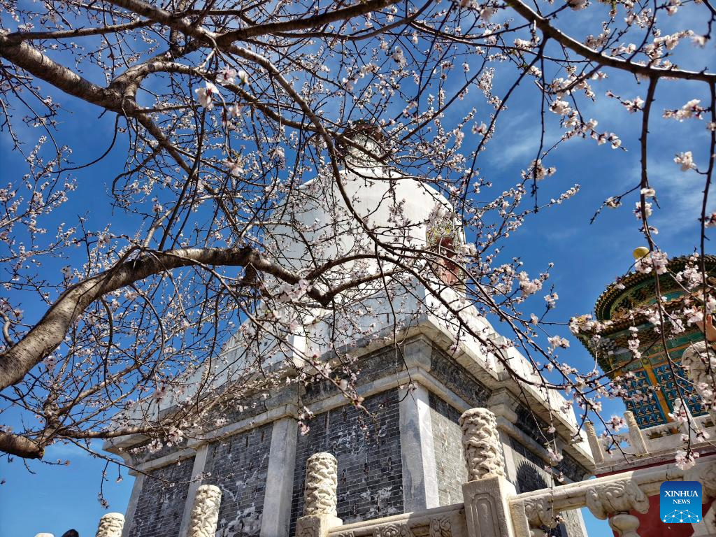 Spring Equinox marked across China