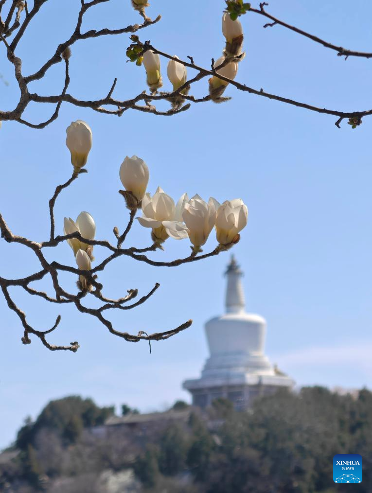 Spring Equinox marked across China