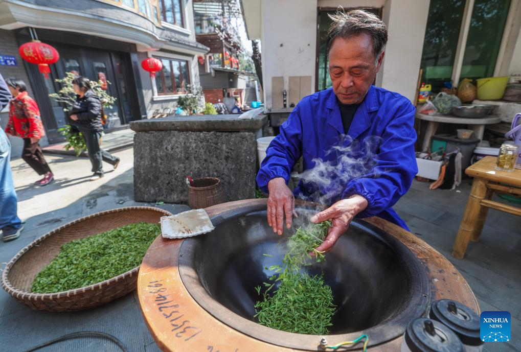 Hangzhou's West Lake Longjing tea starts to be picked on Chunfen