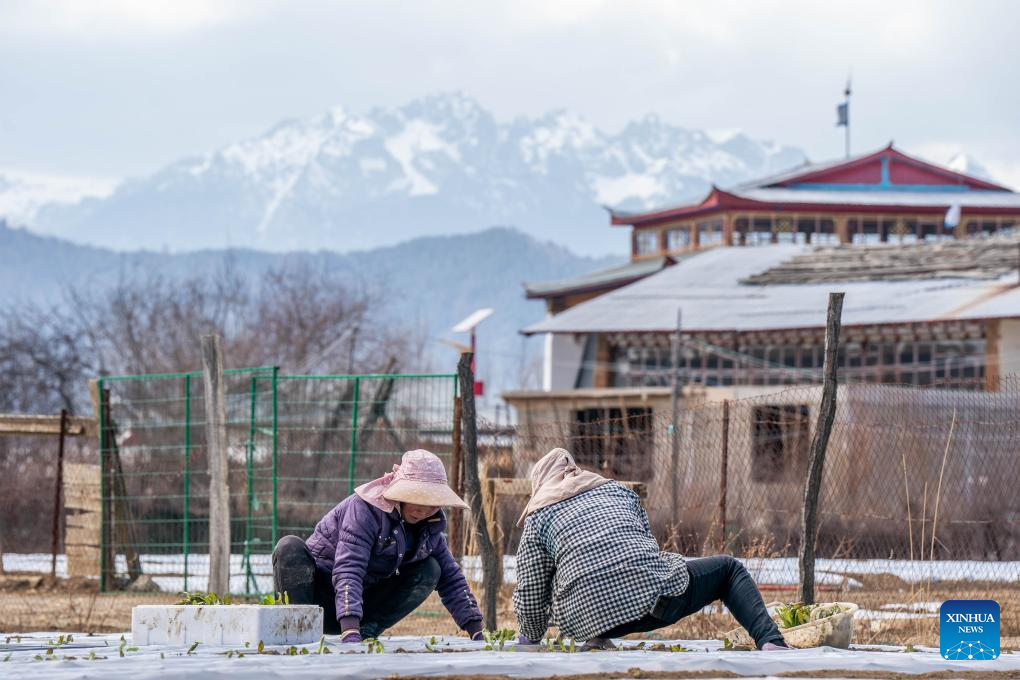 Scenery of Shangri-la in China's Yunnan