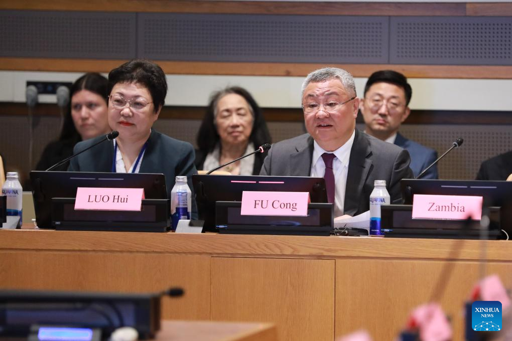 China supports UN's central role in promoting global AI governance: envoy