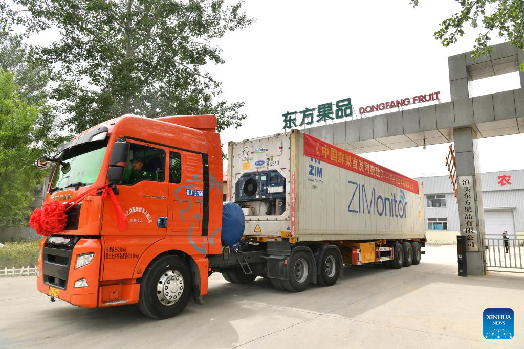 China's Hebei exports fresh pears for 1st time to South American country
