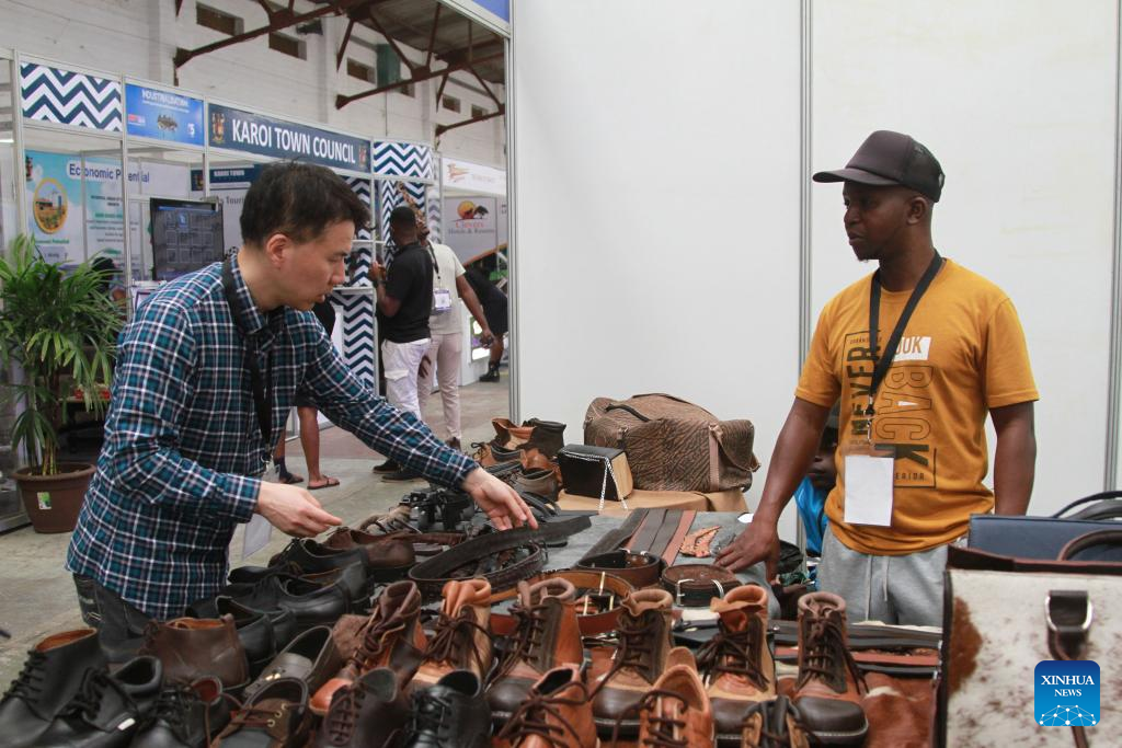Zimbabwean leather sector eyes partnership with Chinese firms for value addition