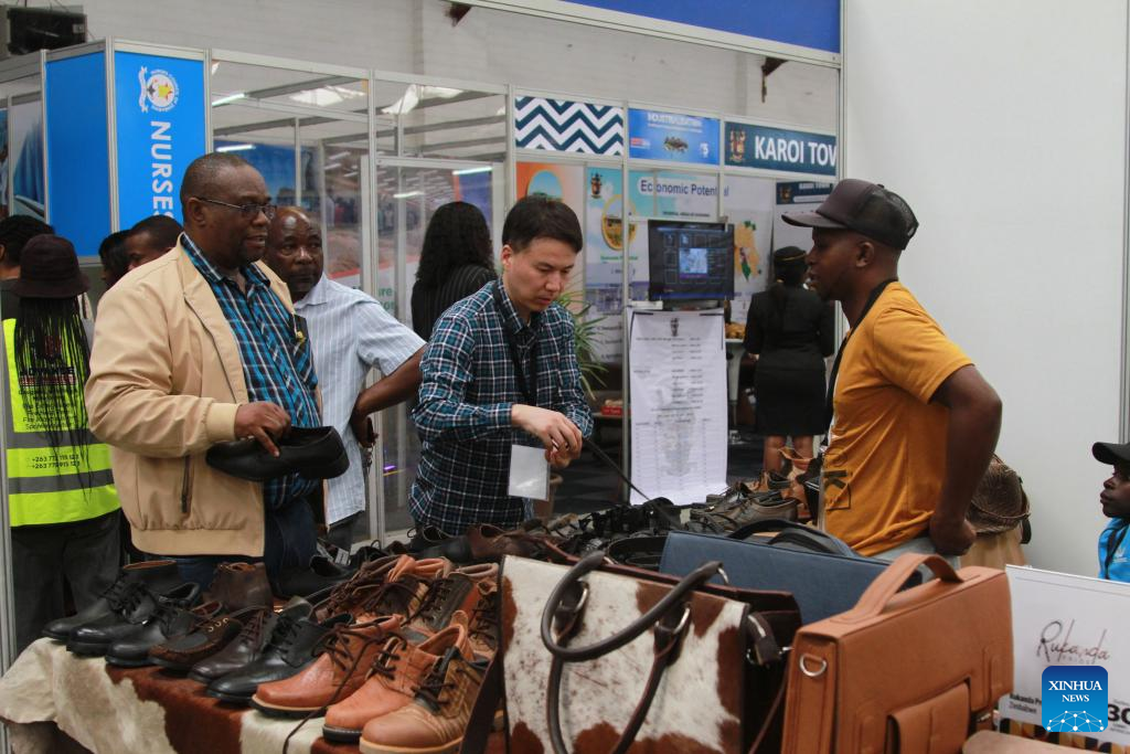 Zimbabwean leather sector eyes partnership with Chinese firms for value addition